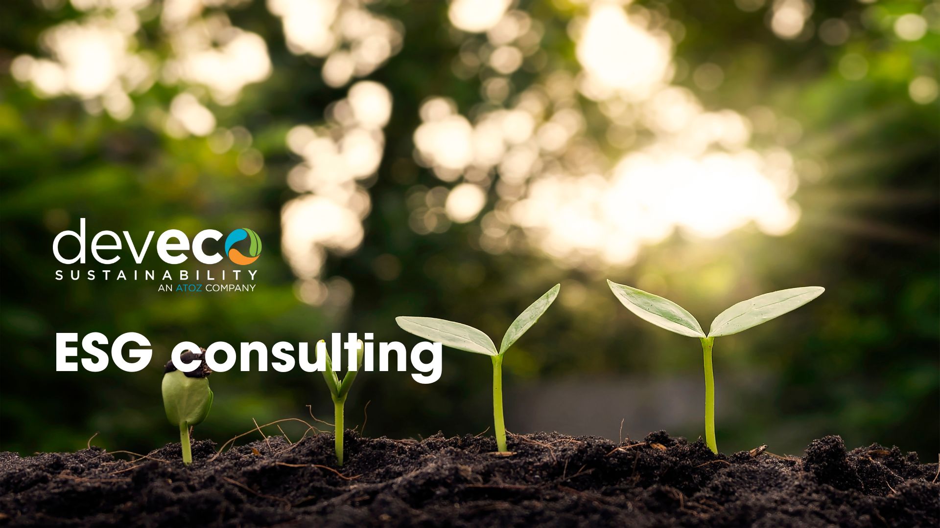 ESG consulting brochure