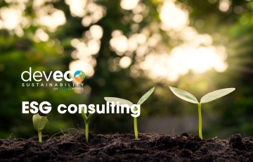 ESG consulting